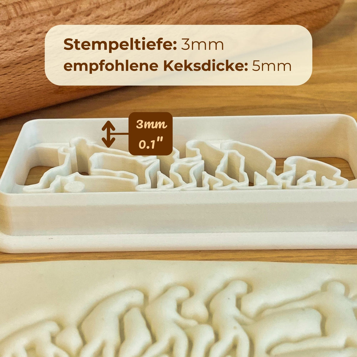 Schnittkante und Prägefläche des Evolution Fußball-Keksausstechers